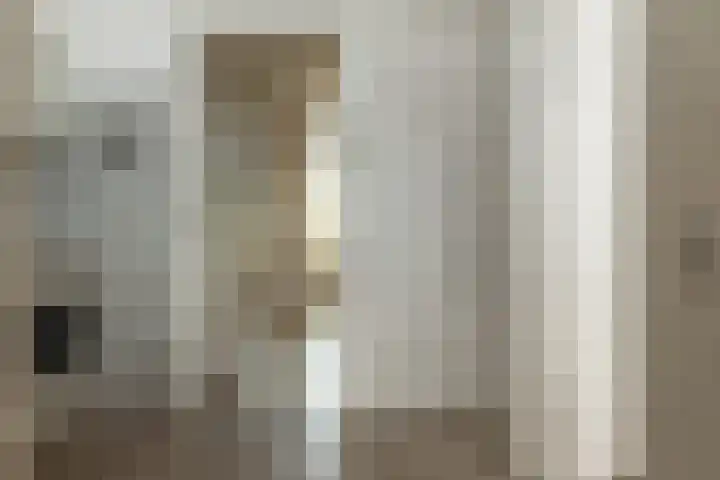 Buorren 23 Oudega thumbnail 25