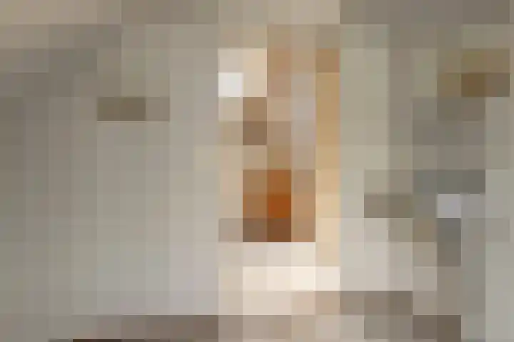 Buorren 23 Oudega thumbnail 35