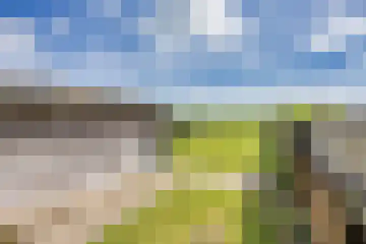 Buorren 24 Terkaple thumbnail 29