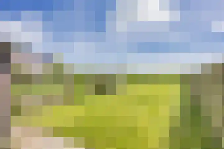 Buorren 24 Terkaple thumbnail 30