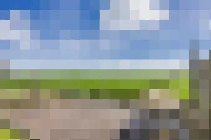 Buorren 24 Terkaple thumbnail 31