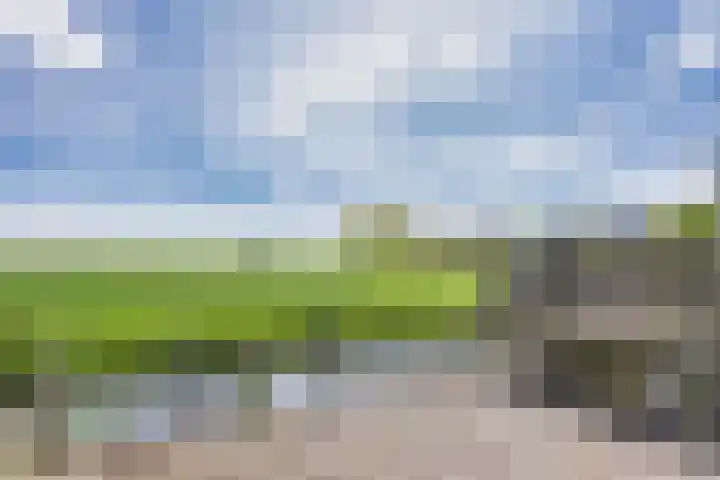 Buorren 24 Terkaple thumbnail 32