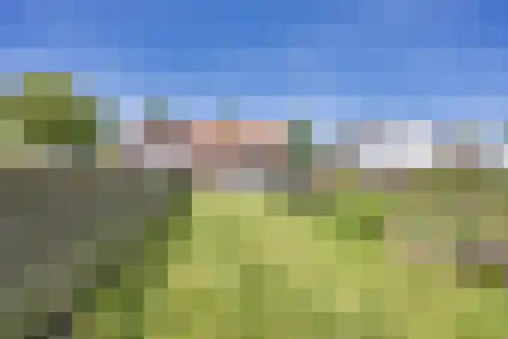 Buorren 24 Terkaple thumbnail 33