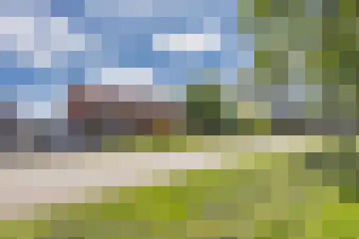 Buorren 24 Terkaple thumbnail 35