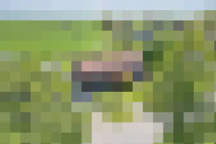 Buorren 24 Terkaple thumbnail 43