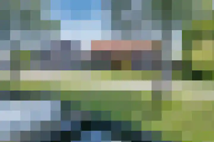Buorren 24 Terkaple thumbnail 44