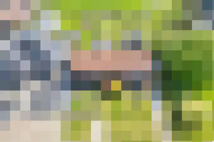 Buorren 24 Terkaple thumbnail 46