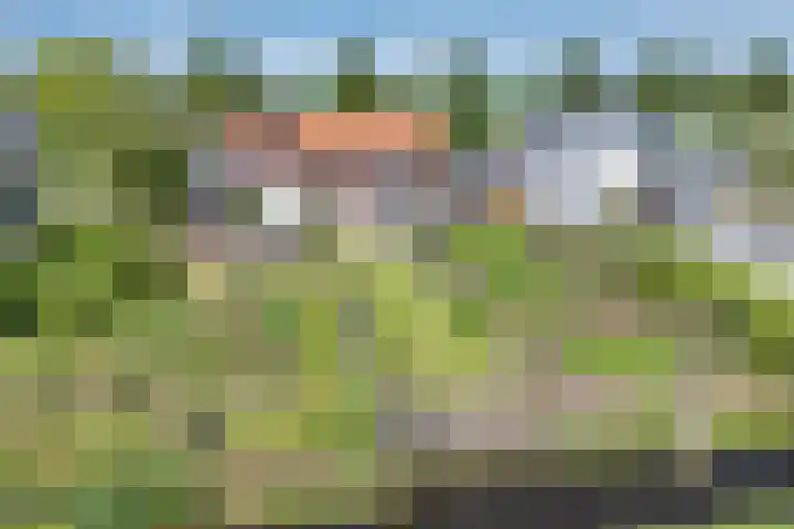 Buorren 24 Terkaple thumbnail 6