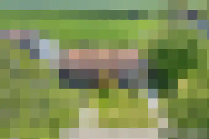 Buorren 24 Terkaple thumbnail 7