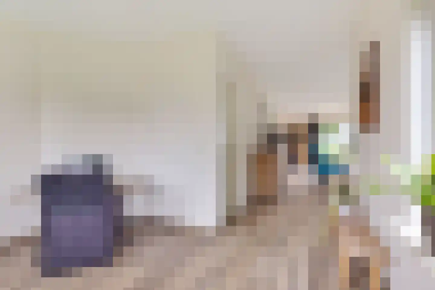 Buorren 26 Elahuizen thumbnail 10
