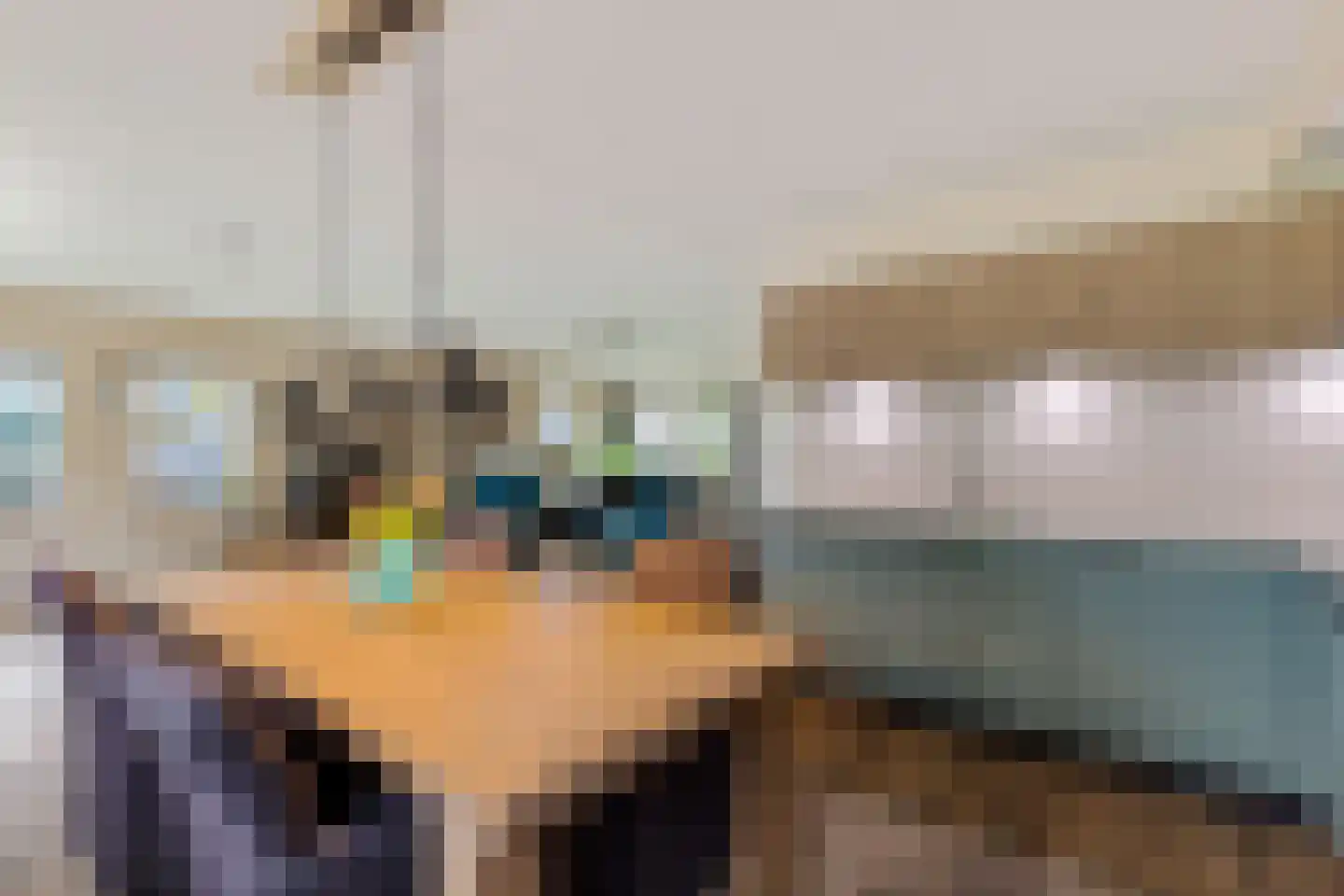 Buorren 26 Elahuizen thumbnail 11