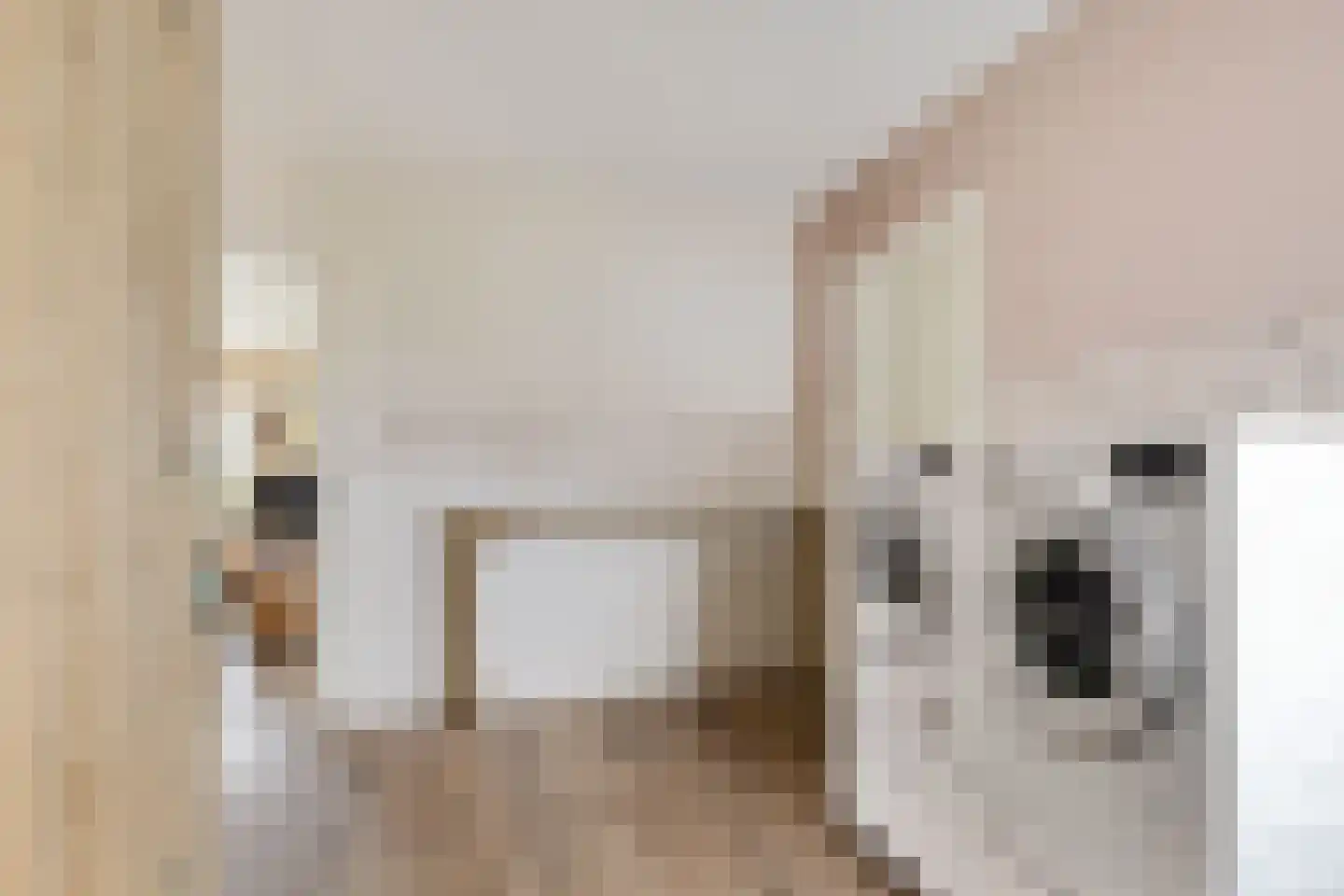 Buorren 26 Elahuizen thumbnail 16