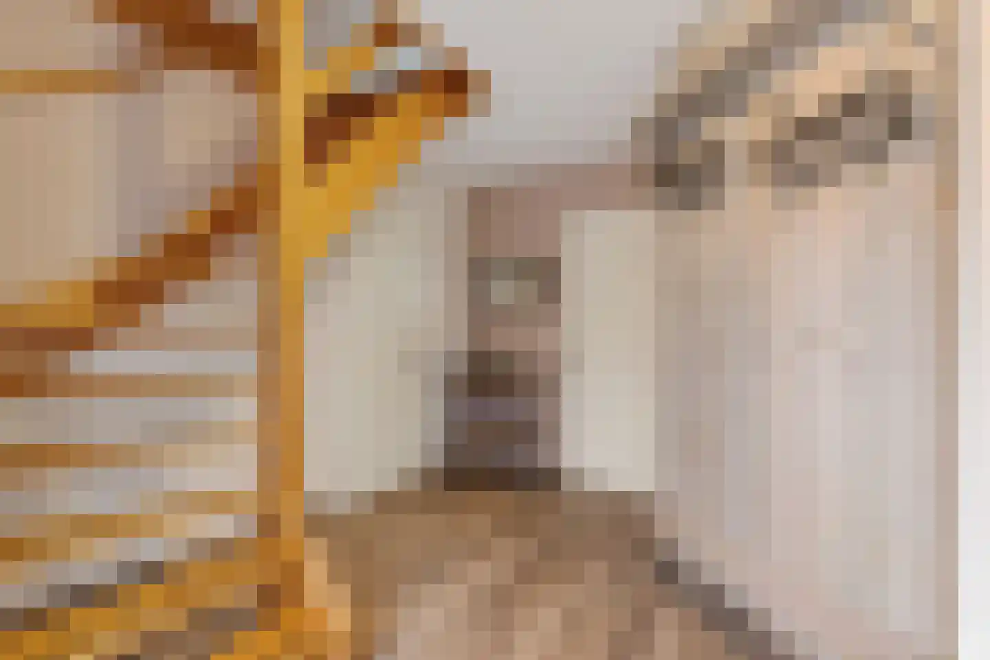 Buorren 26 Elahuizen thumbnail 17
