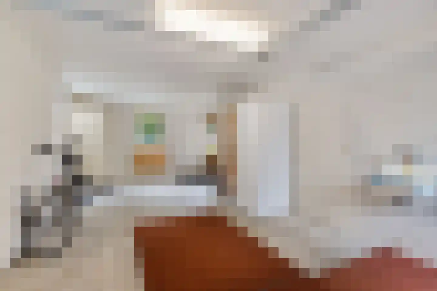 Buorren 26 Elahuizen thumbnail 19