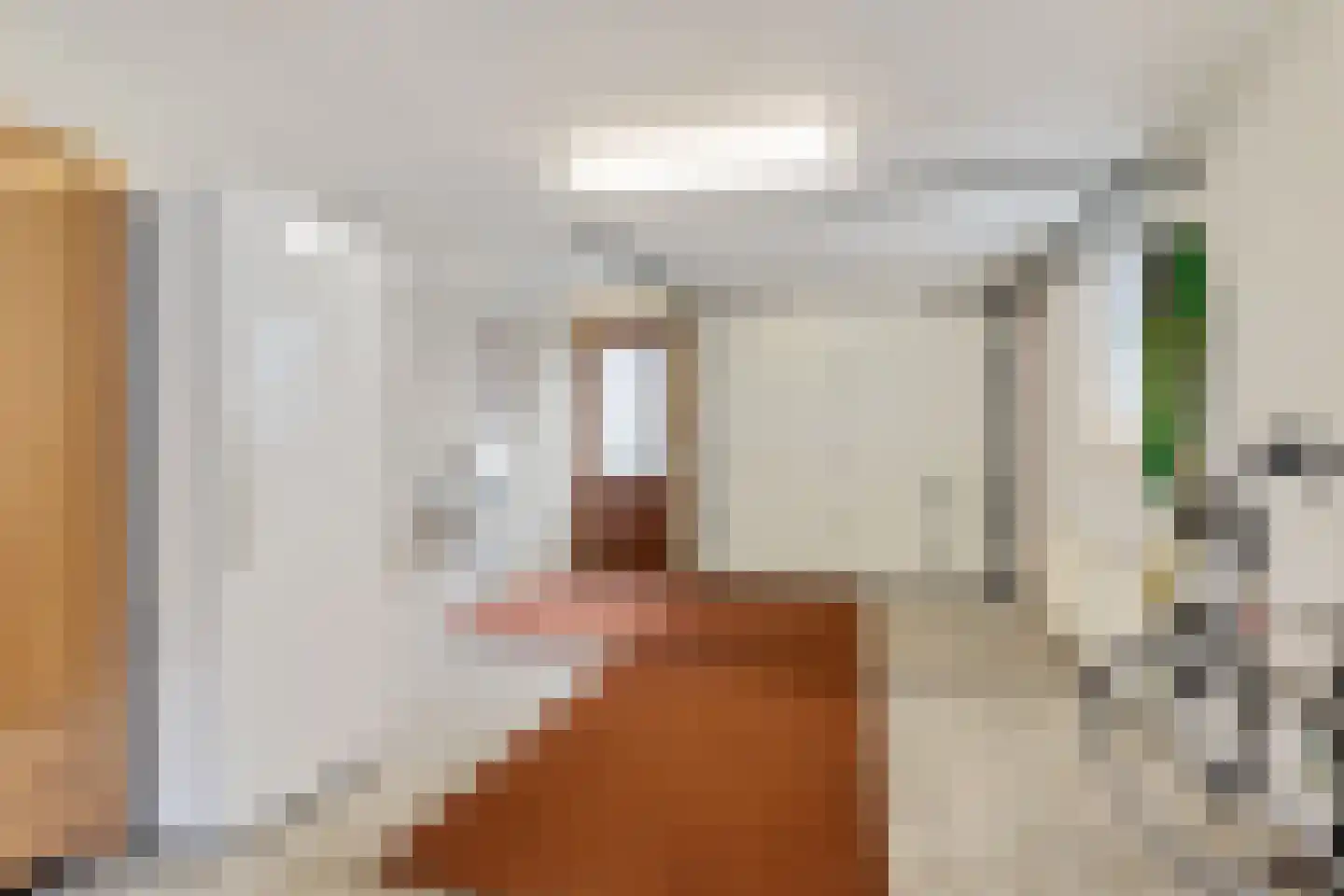 Buorren 26 Elahuizen thumbnail 20