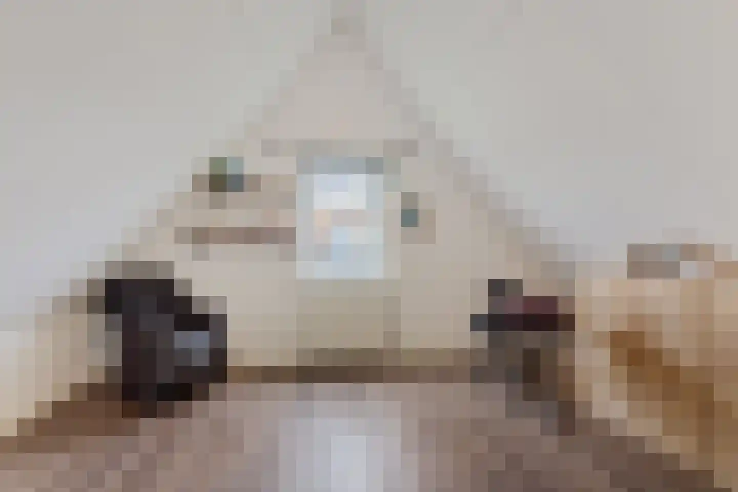 Buorren 26 Elahuizen thumbnail 32