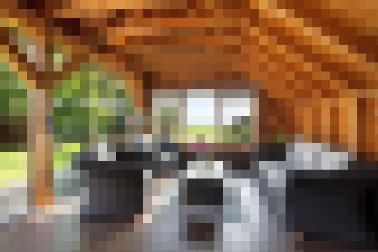 Buorren 26 Elahuizen thumbnail 38