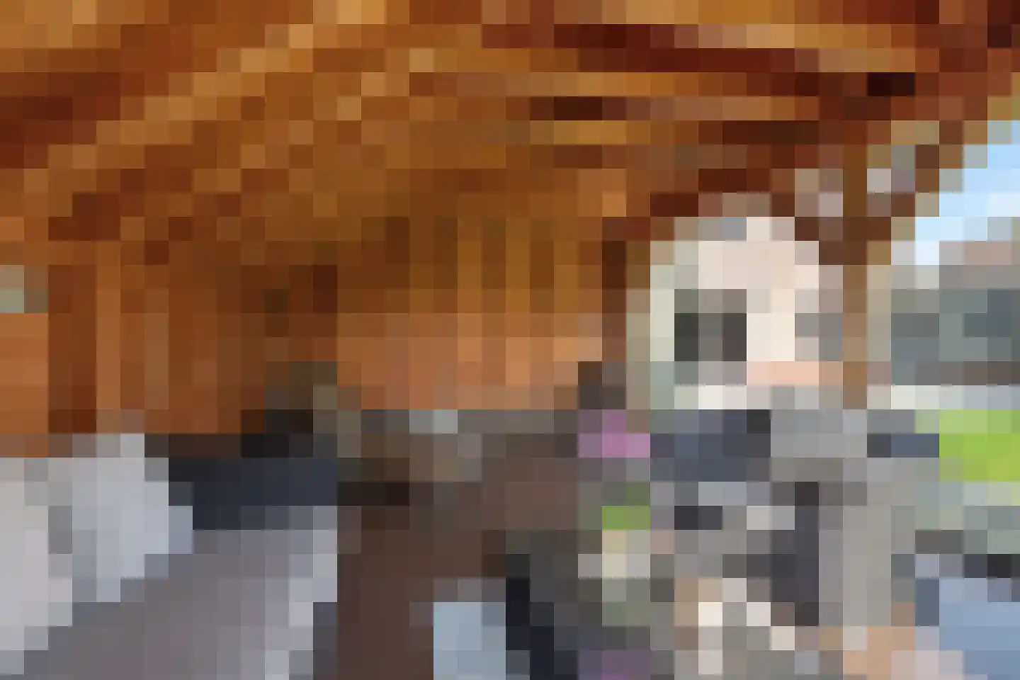 Buorren 26 Elahuizen thumbnail 39