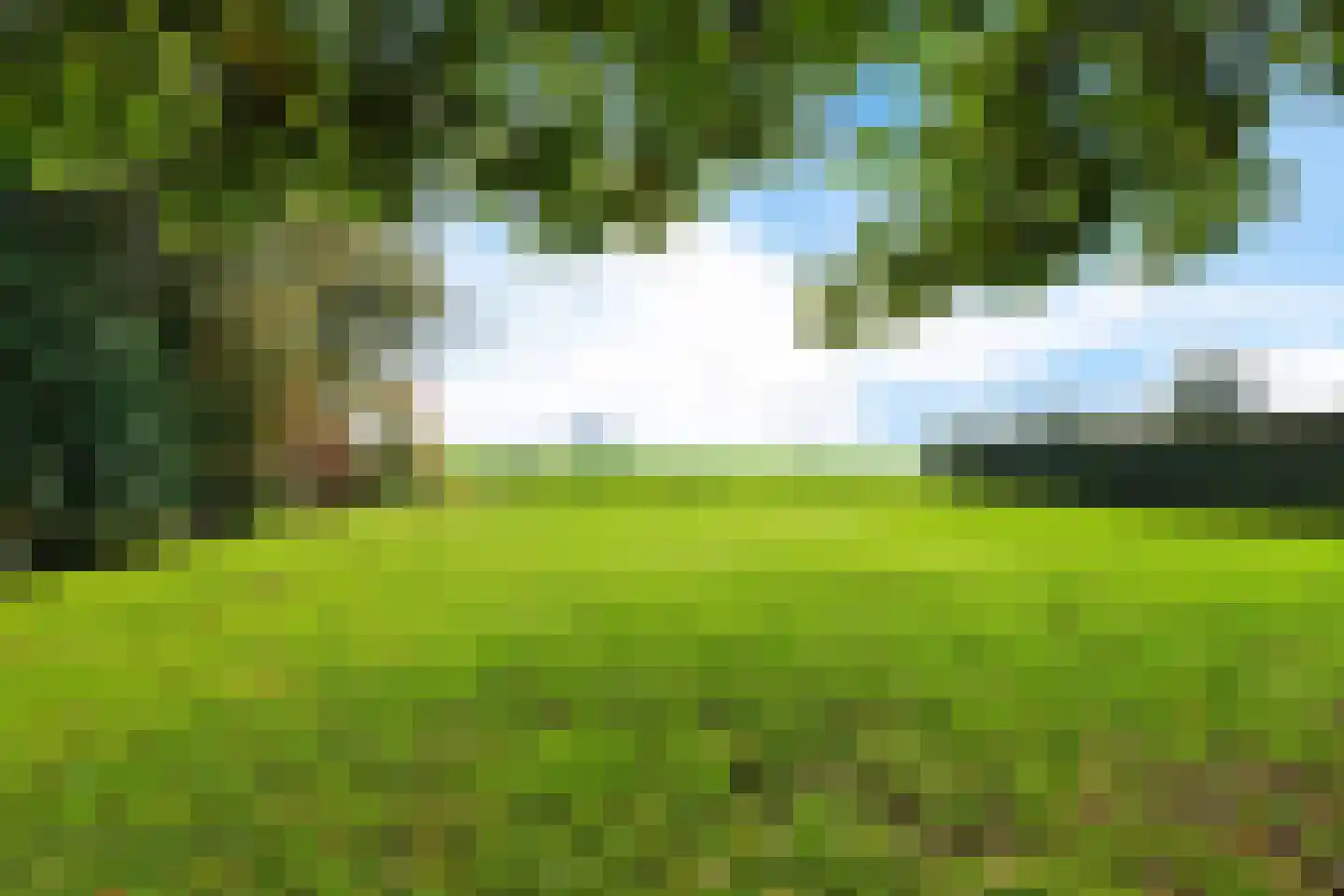 Buorren 26 Elahuizen thumbnail 40