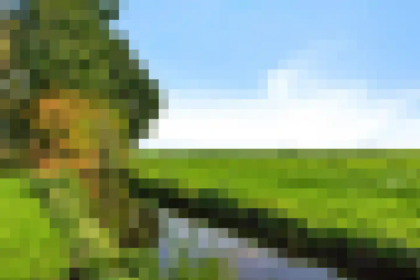 Buorren 26 Elahuizen thumbnail 41