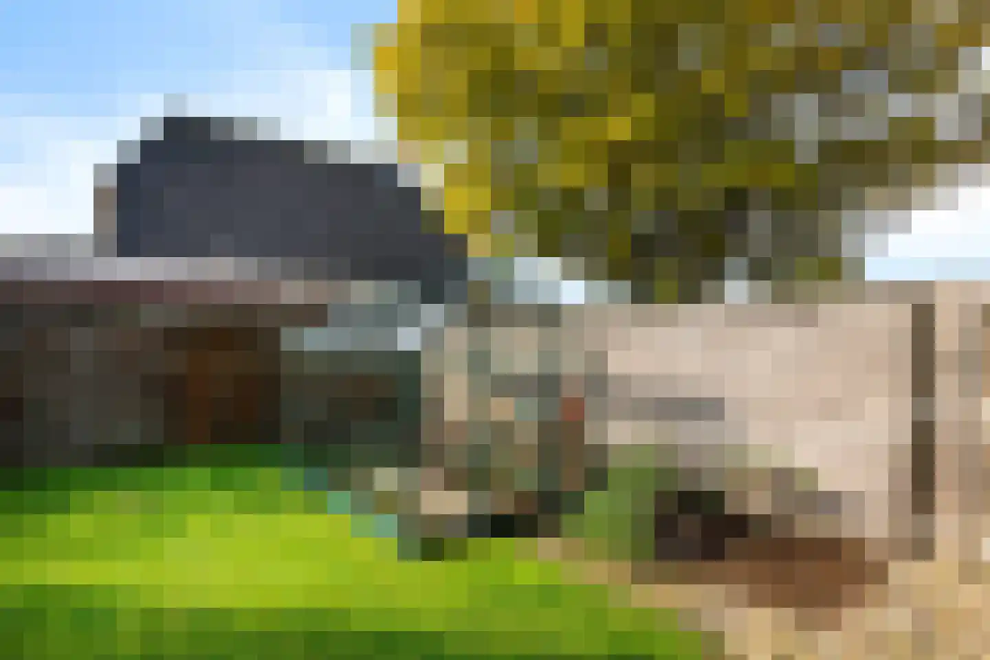 Buorren 26 Elahuizen thumbnail 45