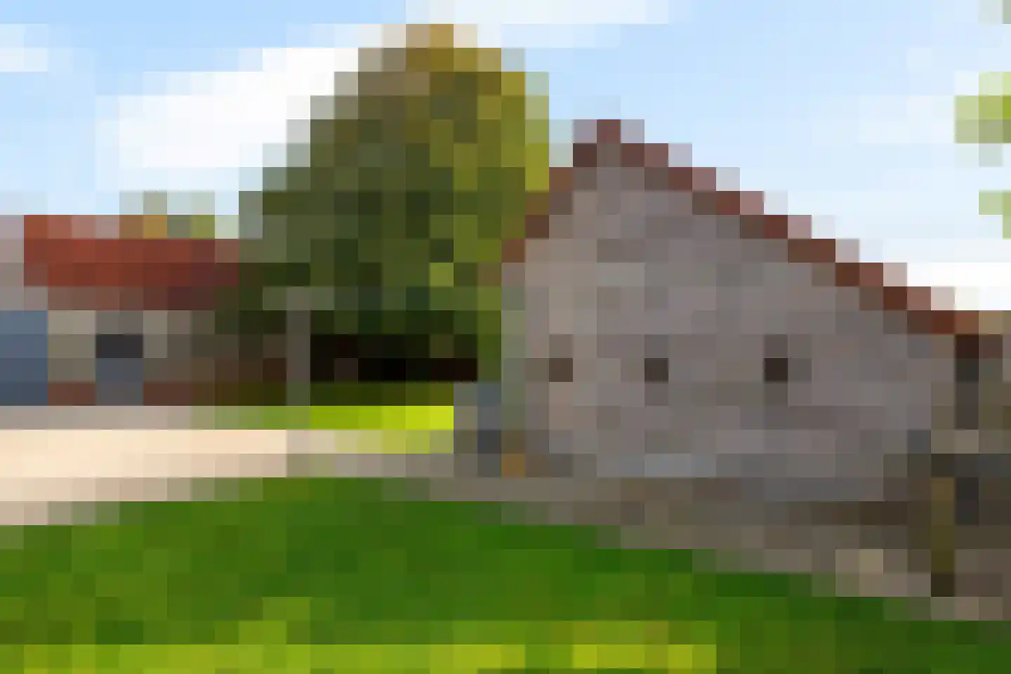Buorren 26 Elahuizen thumbnail 46