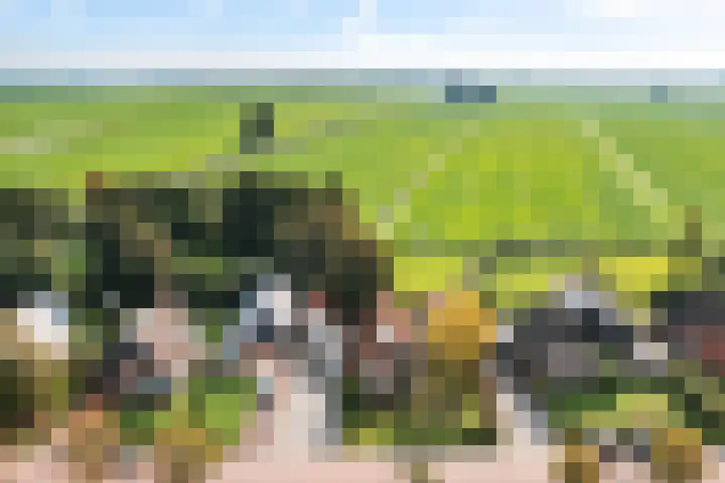 Buorren 26 Elahuizen thumbnail 54