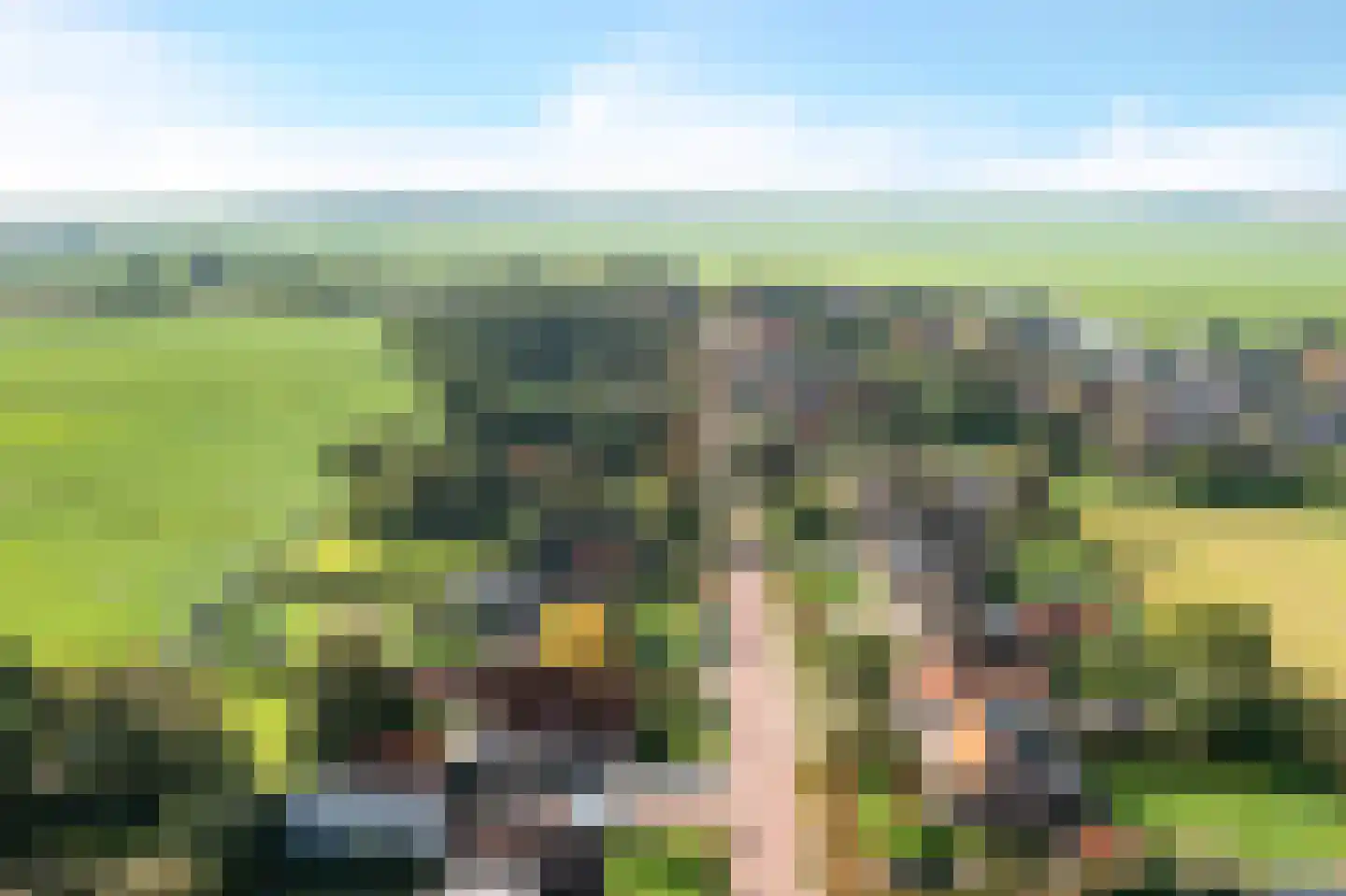 Buorren 26 Elahuizen thumbnail 55