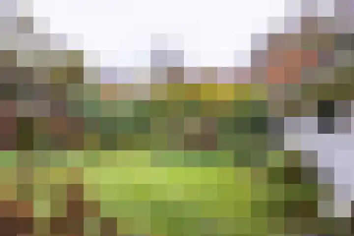 Buorren 26 Hemelum thumbnail 37