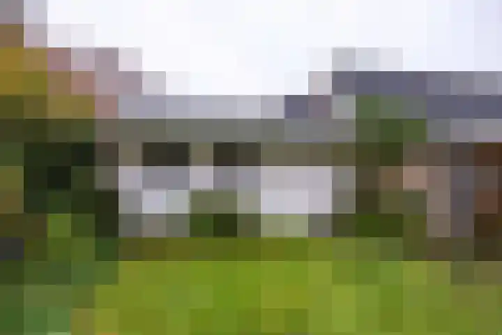 Buorren 26 Hemelum thumbnail 39