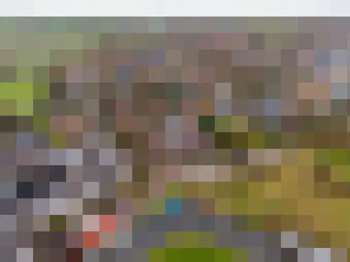 Buorren 26 Hemelum thumbnail 43