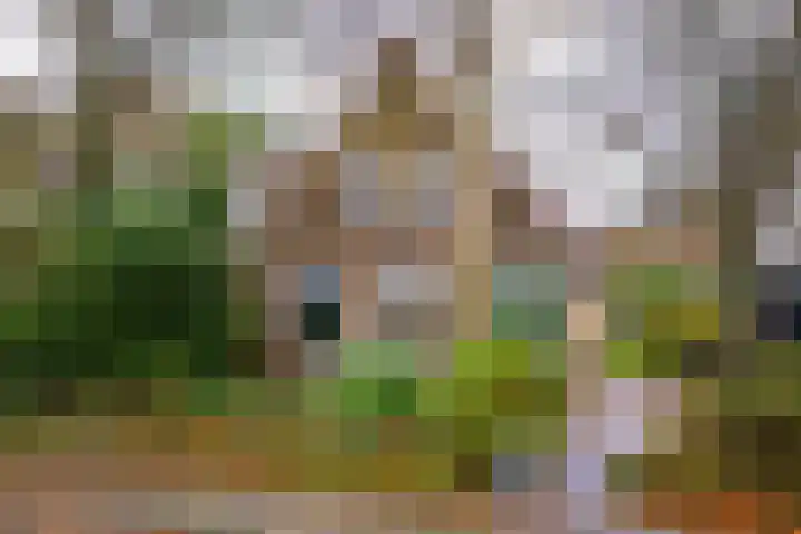 Buorren 26 Hemelum thumbnail 8