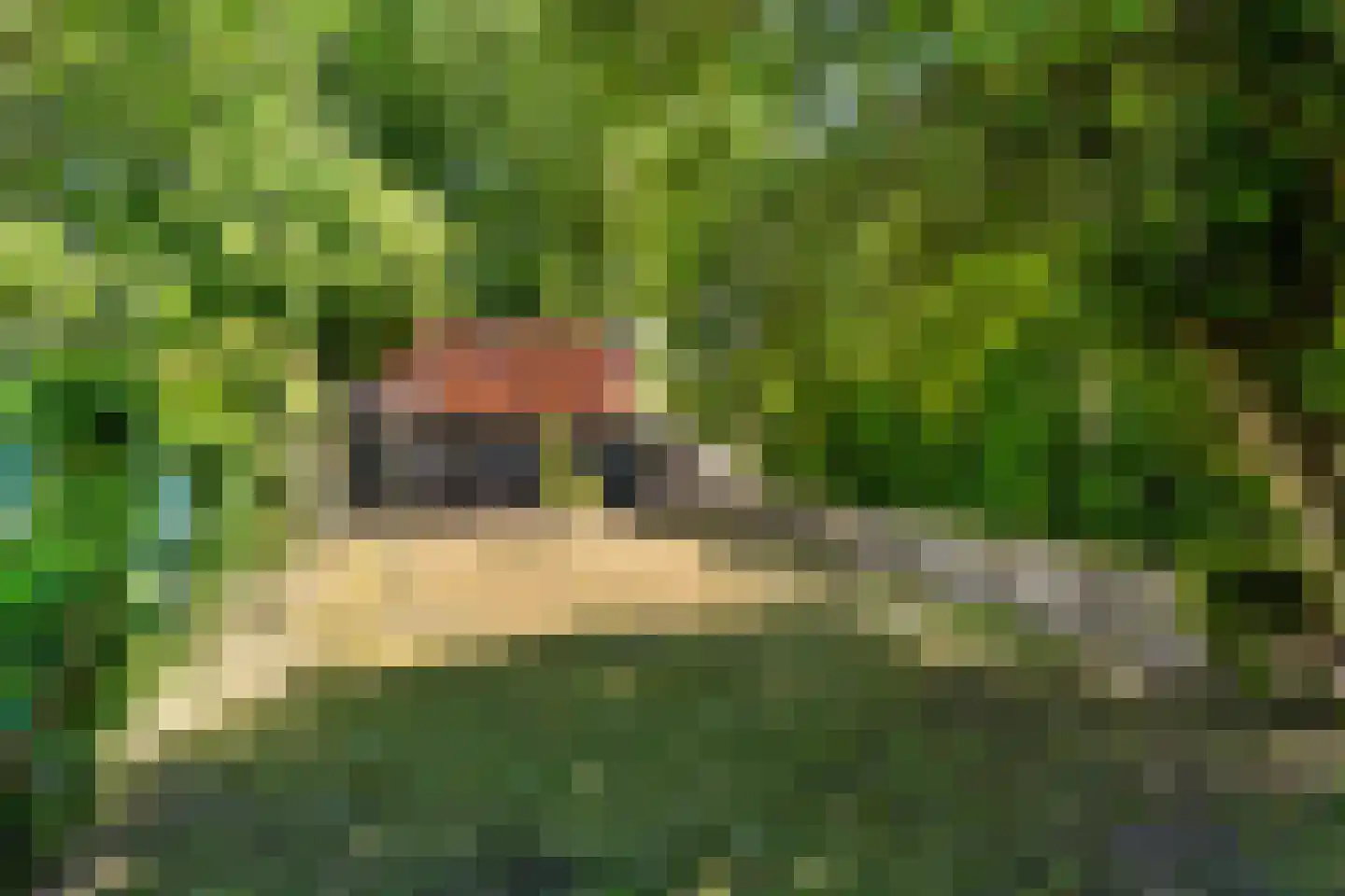 Buorren 27 Goutum thumbnail 24