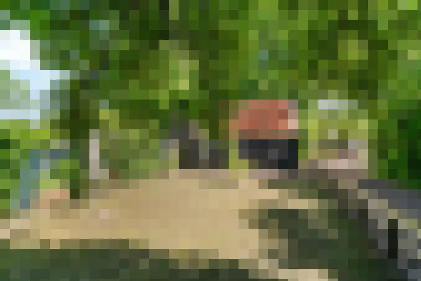 Buorren 27 Goutum thumbnail 25