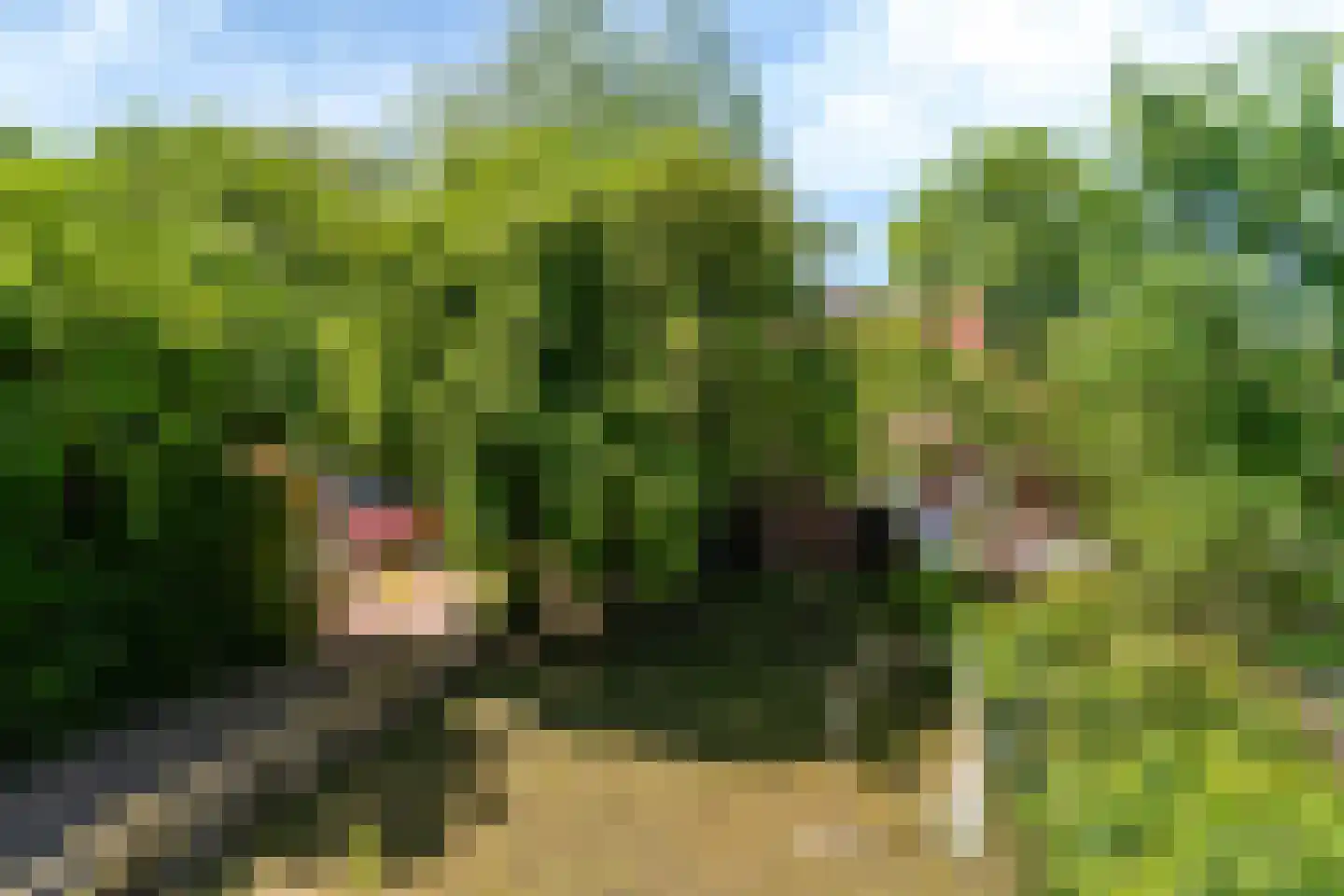 Buorren 27 Goutum thumbnail 27