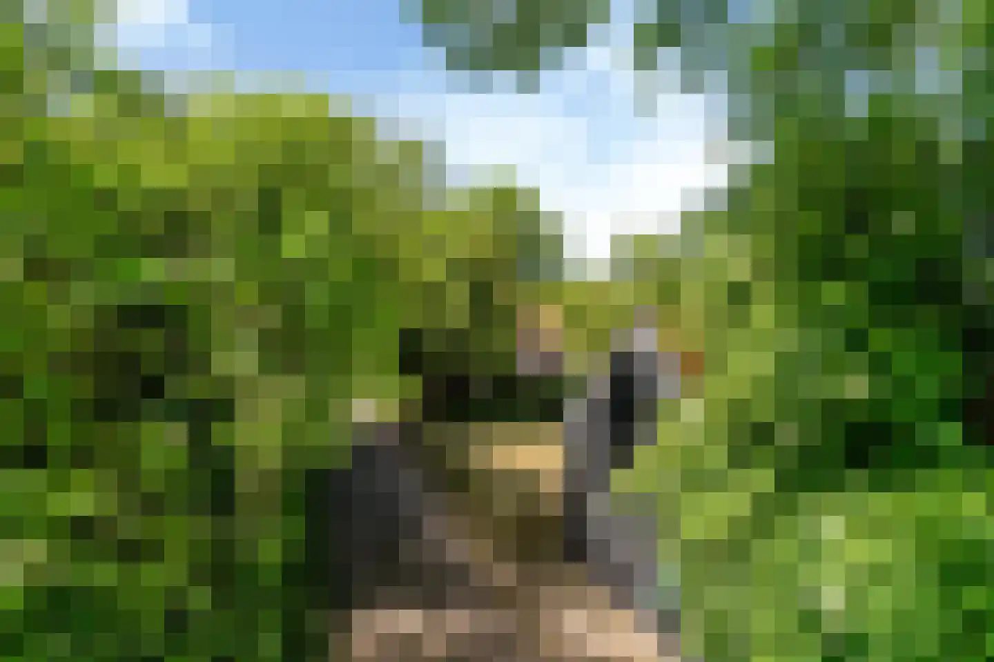 Buorren 27 Goutum thumbnail 28