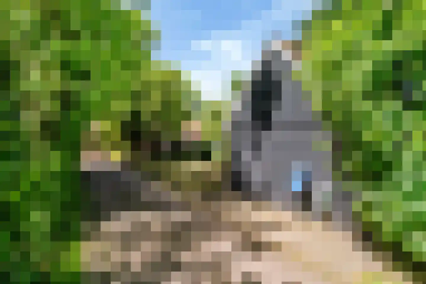 Buorren 27 Goutum thumbnail 29