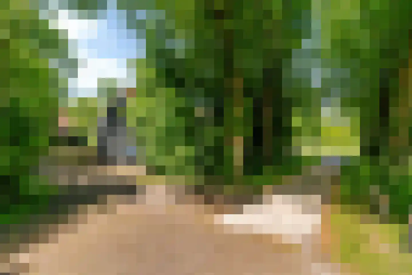 Buorren 27 Goutum thumbnail 30