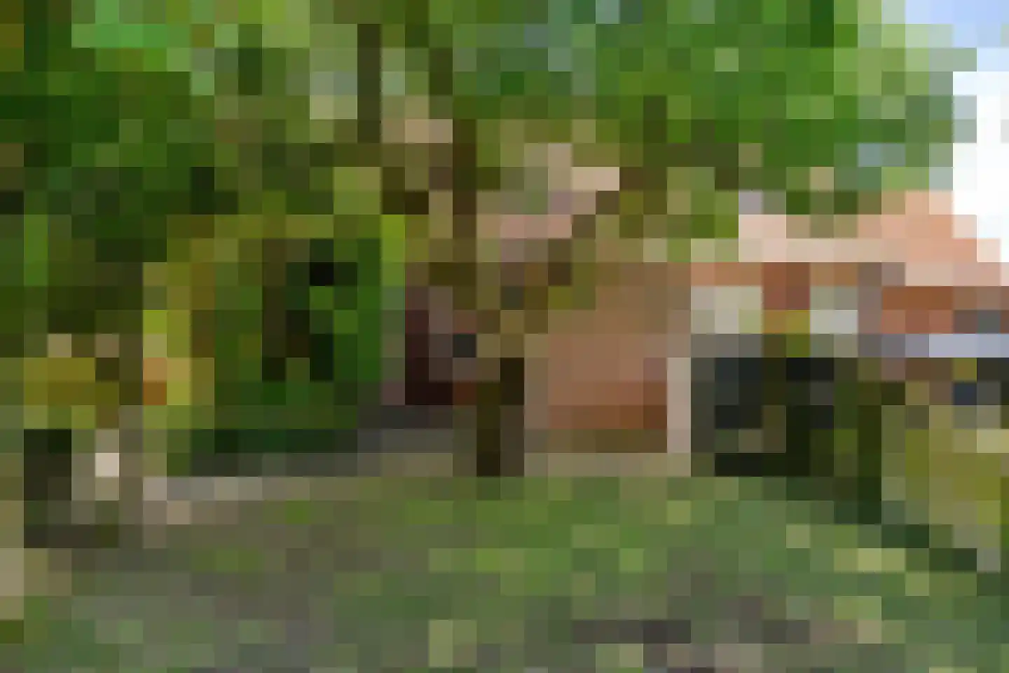 Buorren 27 Goutum thumbnail 33