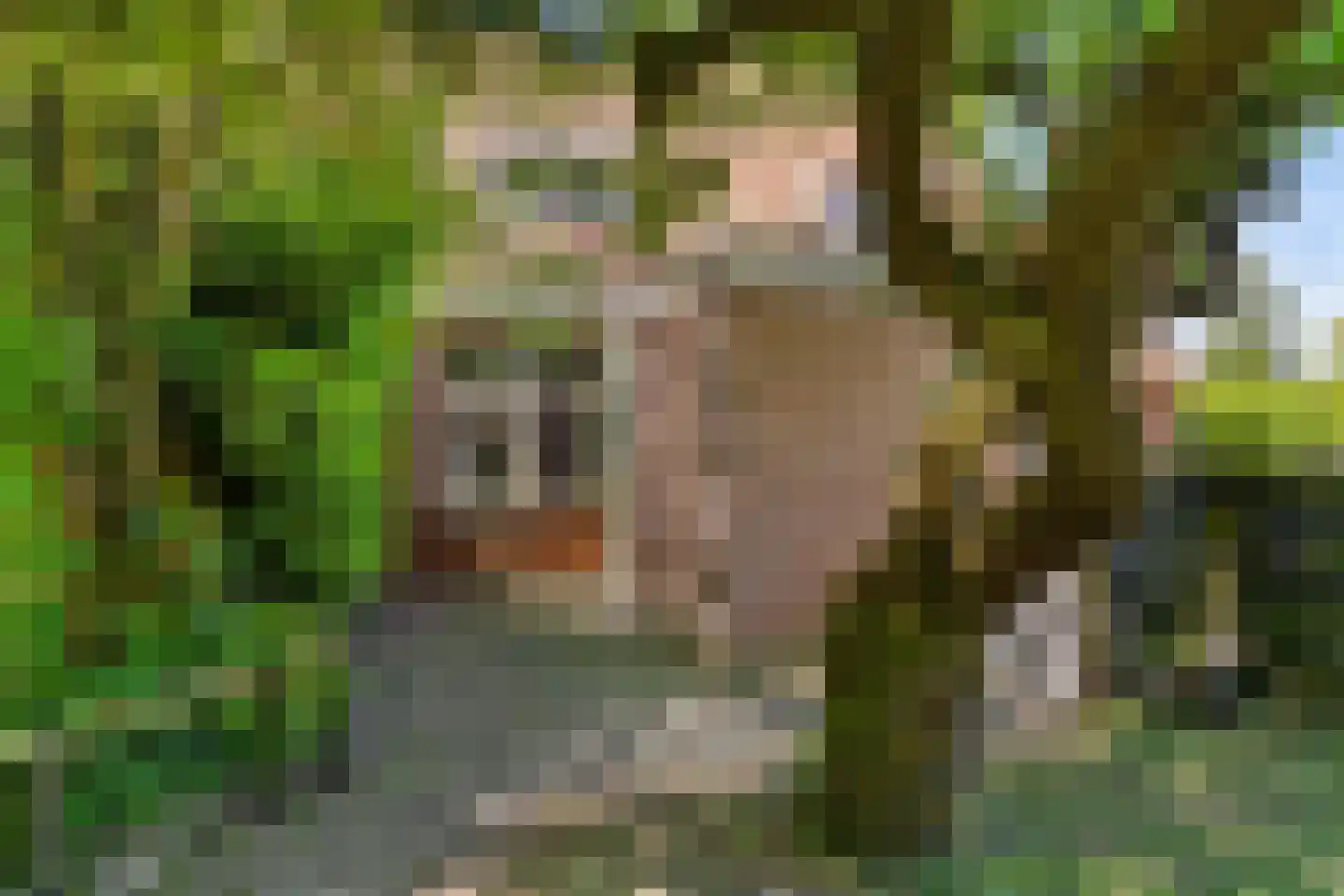 Buorren 27 Goutum thumbnail 34