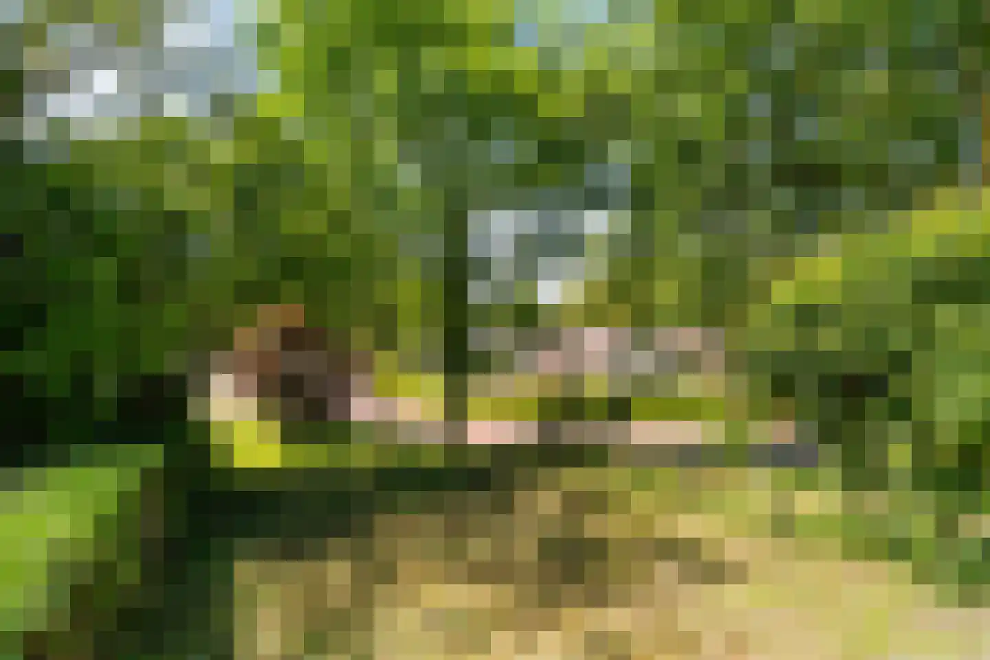 Buorren 27 Goutum thumbnail 35