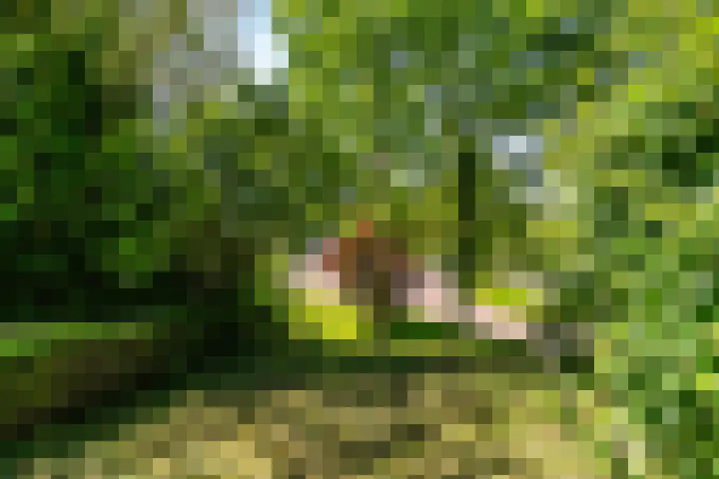 Buorren 27 Goutum thumbnail 36