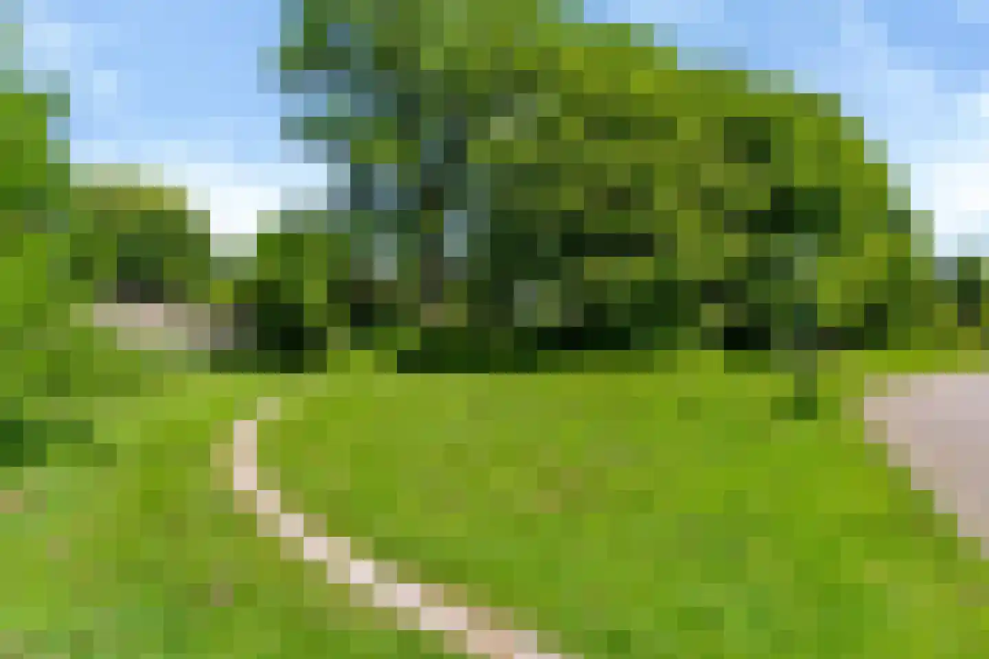 Buorren 27 Goutum thumbnail 38