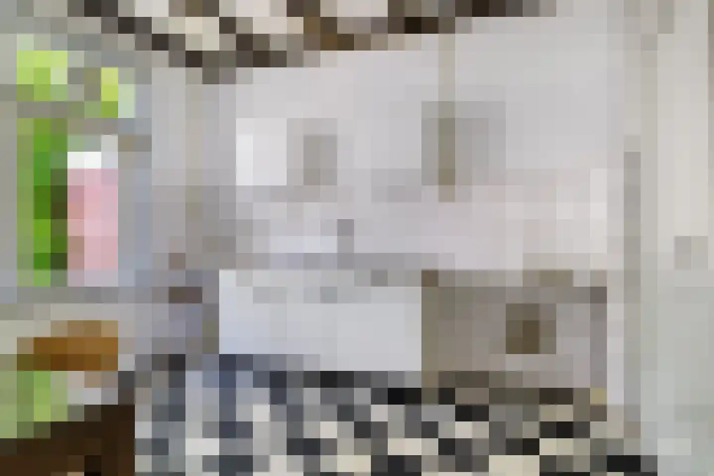 Buorren 27 Goutum thumbnail 7