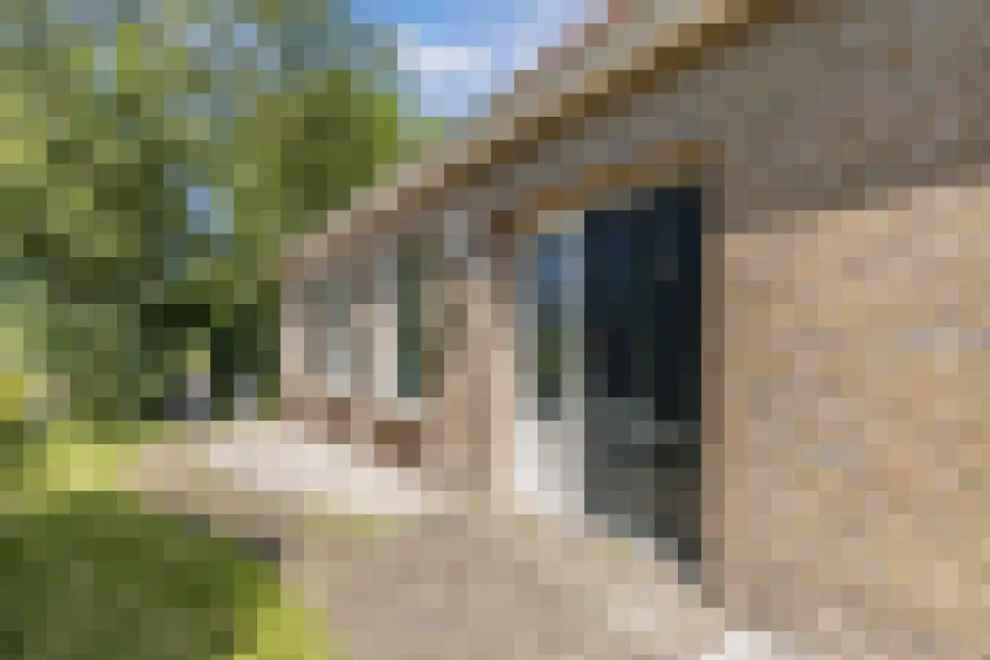 Buorren 27 Tersoal thumbnail 4