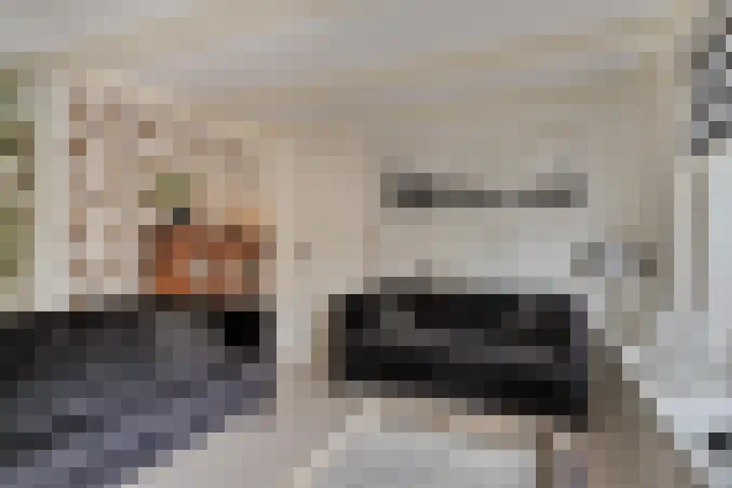 Buorren 29 Boksum thumbnail 10