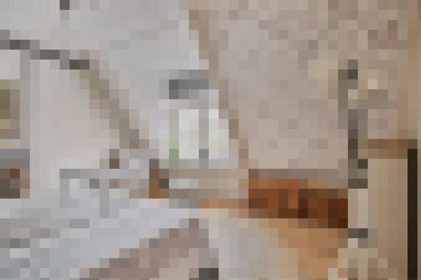 Buorren 29 Boksum thumbnail 18