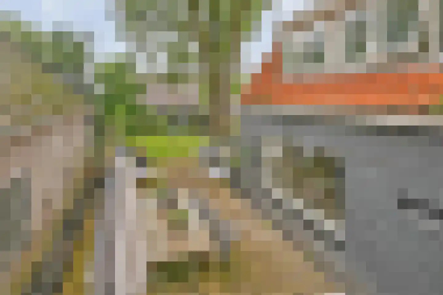Buorren 29 Boksum thumbnail 19