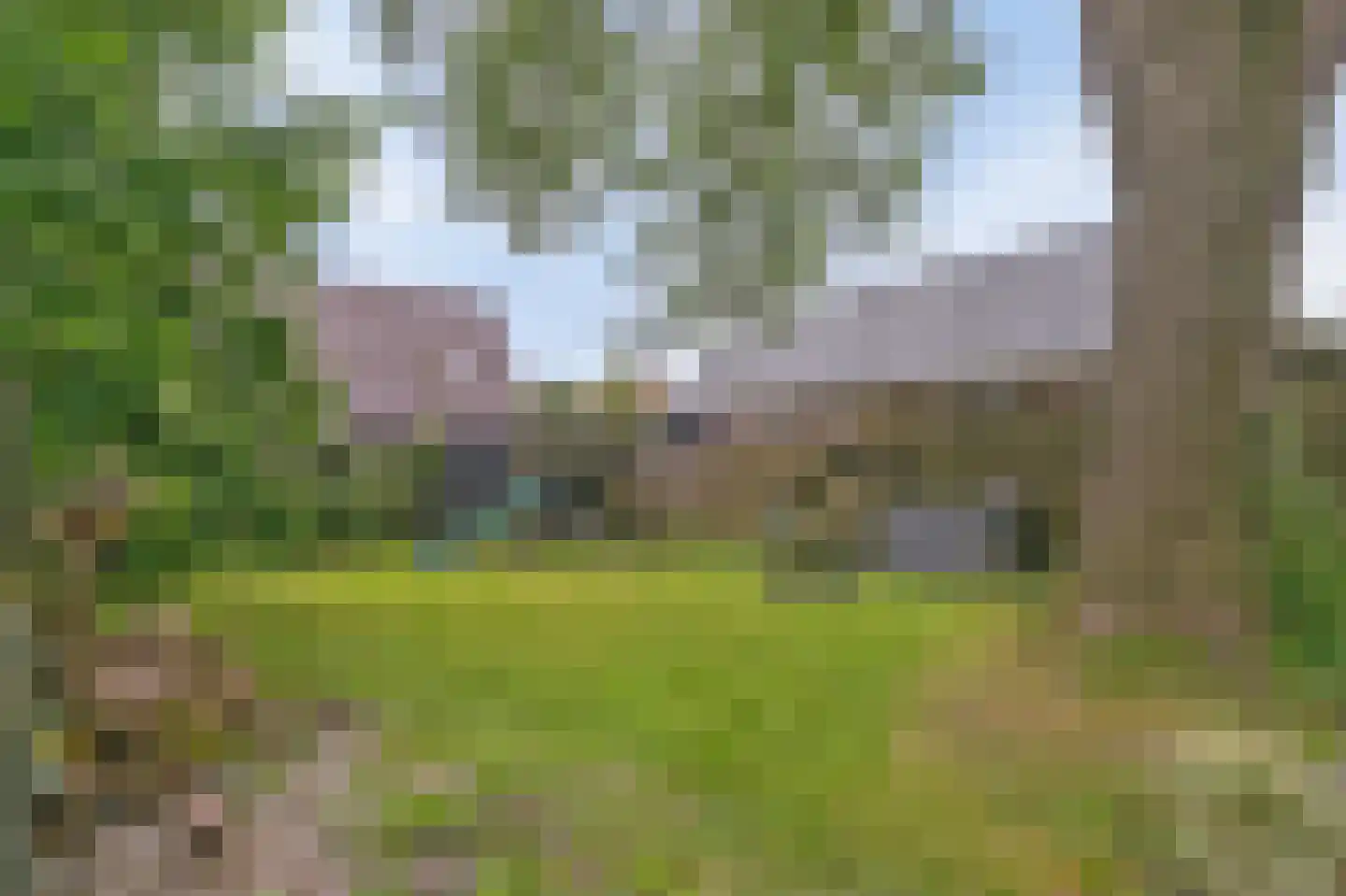 Buorren 29 Boksum thumbnail 26