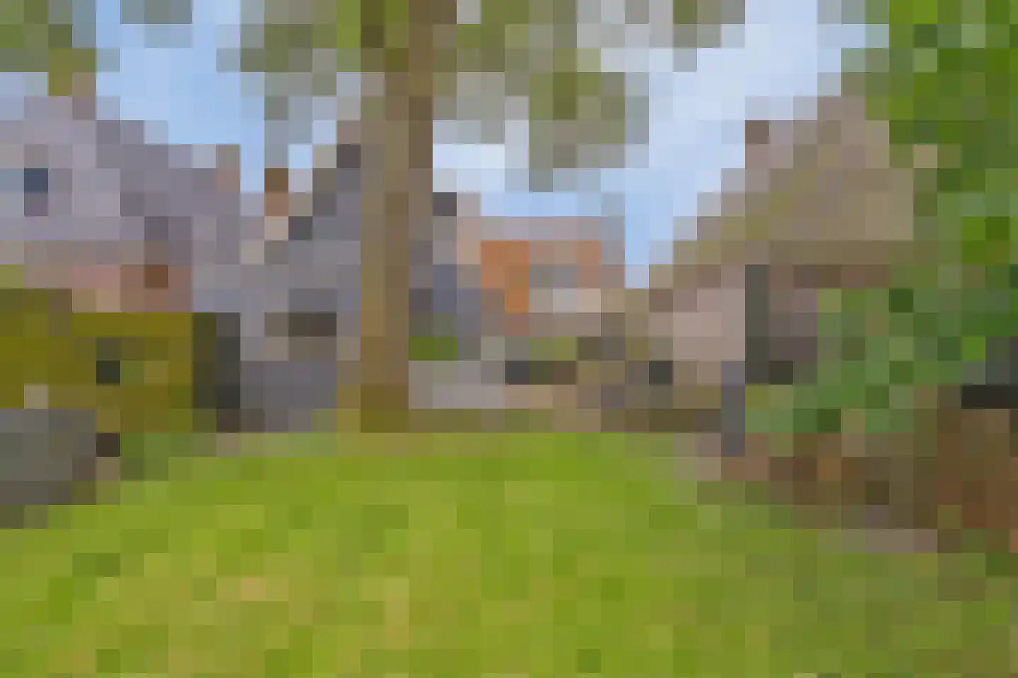 Buorren 29 Boksum thumbnail 27